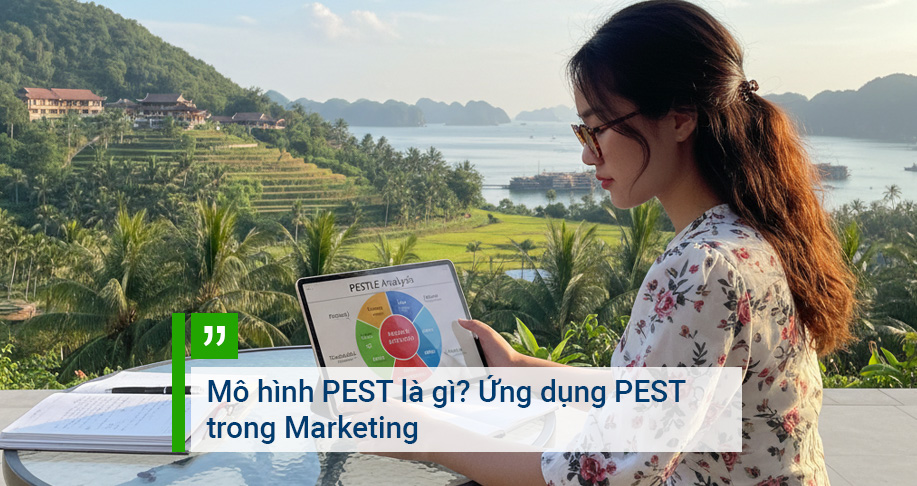 Mô hình PEST là gì? Ứng dụng PEST trong Marketing